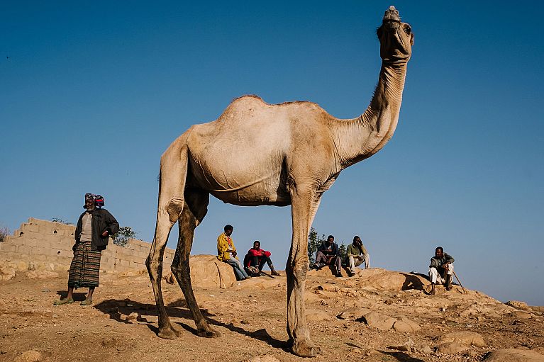 ethiopia street photography harar