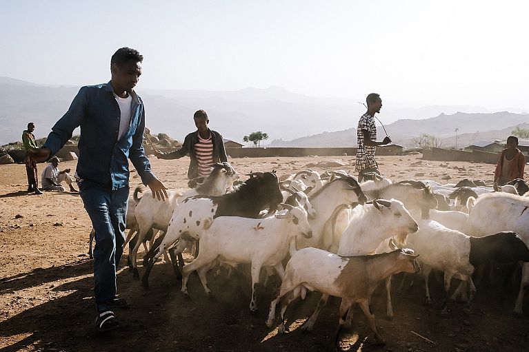 ethiopia street photography harar
